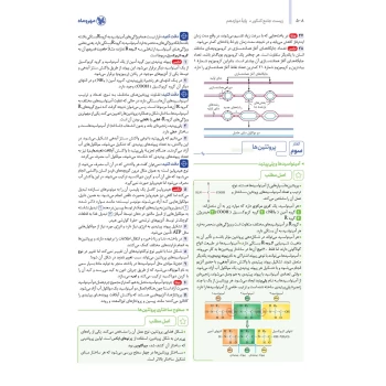 کتاب جامع زیست شناسی کنکور (درسنامه + تست) (مهروماه)