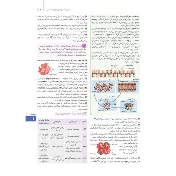 کتاب جامع زیست شناسی کنکور (درسنامه + تست) (مهروماه)