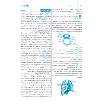 کتاب جامع زیست شناسی کنکور (پاسخنامه) (مهروماه)