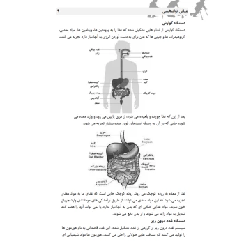 کتاب استخدامی مبانی توانبخشی (مرادی فر - سامان سنجش)