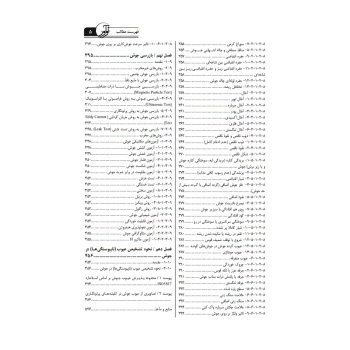 کتاب راهنمای جامع اجرای سازه‌های فولادی 2 (خمسه پور - نوآور)