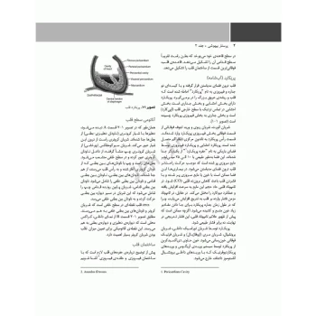 کتاب پرستار بیهوشی 2023 ارزیابی پیش از عمل و مدیریت بیمار حین بیهوشی (جلد سوم) | جامعه نگر