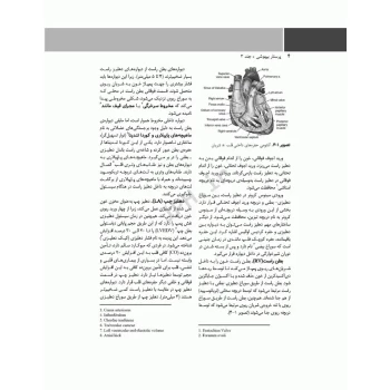 کتاب پرستار بیهوشی 2023 ارزیابی پیش از عمل و مدیریت بیمار حین بیهوشی (جلد سوم) | جامعه نگر