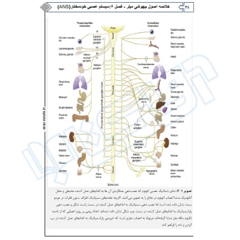 کتاب خلاصه اصول بیهوشی میلر 2023 (جامعه نگر)