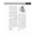 کتاب پرستار بیهوشی 2023 ارزیابی پیش از عمل و مدیریت بیمار حین بیهوشی (جلد سوم) | جامعه نگر
