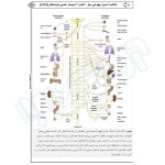 کتاب خلاصه اصول بیهوشی میلر 2023 (جامعه نگر)